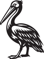 Pelican bird vector illustration design, Water bird black and white drawing