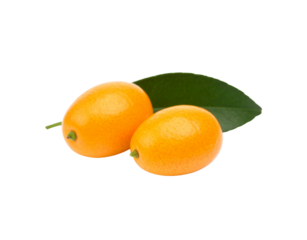 Fresh pair of oval kumquats with glossy orange peel and a green leaf.