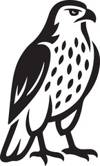 Perched falcon silhouette white background, Bird of prey vector illustration