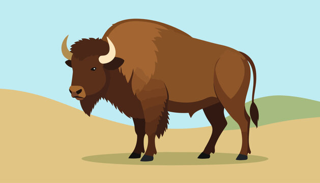 Majestic brown American bison with a shaggy mane and curved horns, in a flat vector style.