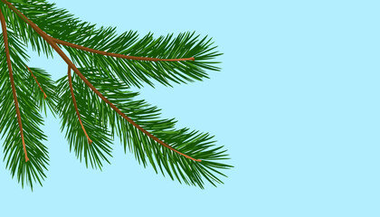 Naklejka premium Lush green pine bough with detailed needles, an evergreen branch illustration.