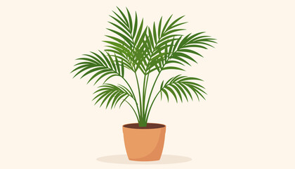 Obraz premium Lush green Areca palm houseplant with feathery fronds in a simple terracotta pot.