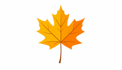 Fototapeta premium Vibrant yellow and orange autumn maple leaf illustration with detailed veins.