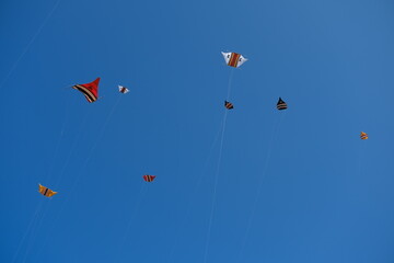 Colorful Kites Flying in Bright Blue Sky