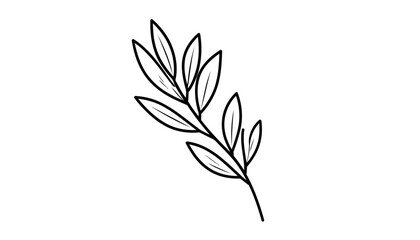 Fototapeta premium Minimalist black line art of a botanical sprig with elegant, pointed leaves.