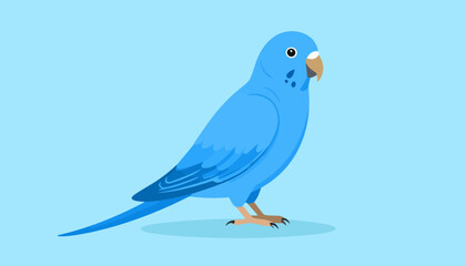 A charming blue budgerigar illustration in a flat vector style, standing in profile with detailed wing feathers.
