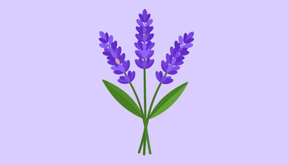 Naklejka premium A simple flat illustration of a lavender bouquet with three purple flower spikes and green leaves.