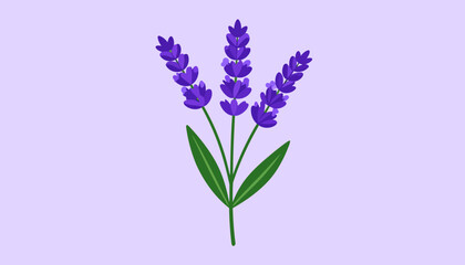 Obraz premium Minimalist flat vector illustration of a lavender bouquet with purple blossoms and green leaves.