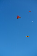 Colorful Kites Flying in Bright Blue Sky
