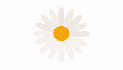 Minimalist daisy flower illustration with rounded off-white petals and a vibrant yellow center.