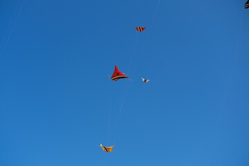 Colorful Kites Flying in Bright Blue Sky