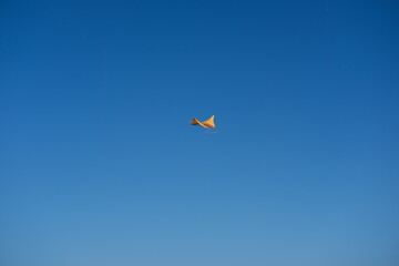 Colorful Kites Flying in Bright Blue Sky