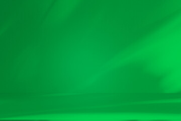 Wall interior background, studio and backdrops show products. with leaf shadow leaf from window color green and white. background for text insertion and presentation of product	