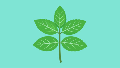 Obraz premium Stylized green mint sprig illustration with five serrated leaves and prominent light green veins.