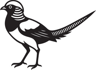 Pheasant bird silhouette white background, Black stylized bird wildlife vector