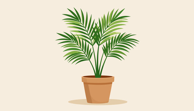 Lush green palm houseplant with feathery fronds in a terracotta pot, flat vector illustration.