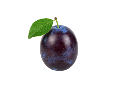 Single ripe purple plum with a natural waxy bloom and a fresh green leaf.
