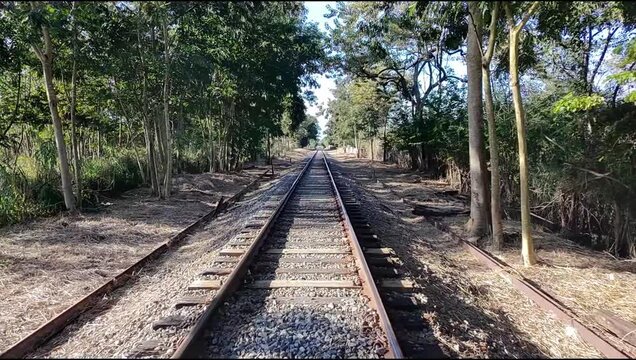 railway in the woods