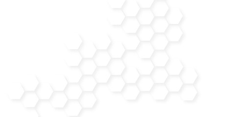 Abstract white vector wallpaper with hexagon grid, honeycomb white mosaic cell web ,light and shadow texture design, banner design with hexagon pattern on white background.