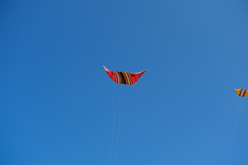 Colorful Kites Flying in Bright Blue Sky