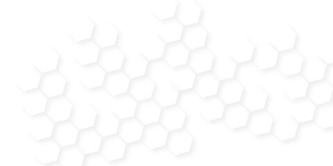 Abstract white vector wallpaper with hexagon grid, honeycomb white mosaic cell web ,light and shadow texture design, banner design with hexagon pattern on white background.