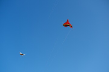 Colorful Kites Flying in Bright Blue Sky
