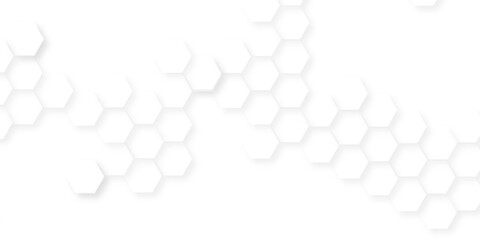 Abstract white vector wallpaper with hexagon grid, honeycomb white mosaic cell web ,light and shadow texture design, banner design with hexagon pattern on white background.