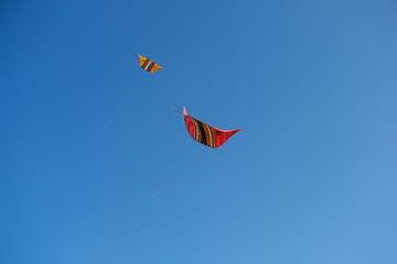 Colorful Kites Flying in Bright Blue Sky