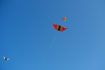 Colorful Kites Flying in Bright Blue Sky