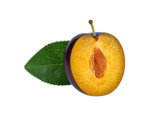 Vibrant crosssection of a ripe purple plum with golden flesh stone and a fresh green leaf.