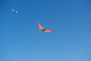 Colorful Kites Flying in Bright Blue Sky