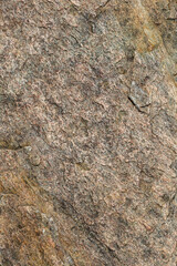 Tan and Yellow Textured Stone Surface with Raised Ridges – Rock Macro for Backgrounds and Design - Vertical