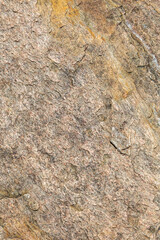 Tan and Yellow Textured Stone Surface with Raised Ridges – Rock Macro for Backgrounds and Design - Horizontal