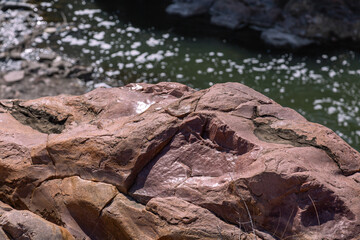 Naturally Polished Smooth Texture Sioux Quartzite Red Rocks at Falls Park near River