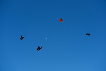 Colorful Kites Flying in Bright Blue Sky