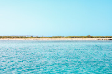 Tranquil beach with clear blue water