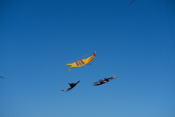 Colorful Kites Flying in Bright Blue Sky