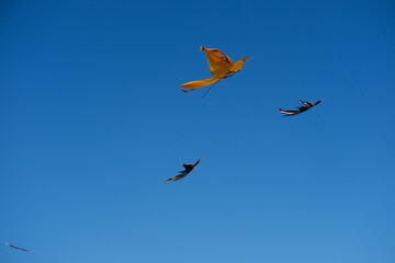 Colorful Kites Flying in Bright Blue Sky