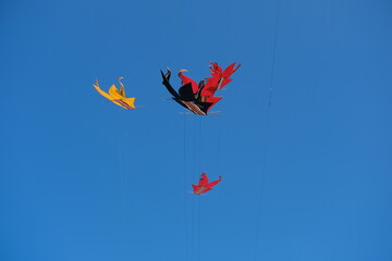 Colorful Kites Flying in Bright Blue Sky