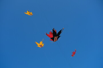Colorful Kites Flying in Bright Blue Sky