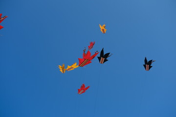 Colorful Kites Flying in Bright Blue Sky