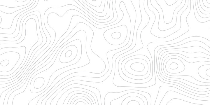 Wavy gray contour line seamless pattern in abstract topographic style.