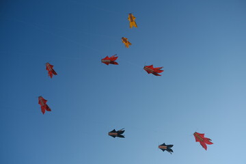 Colorful Kites Flying in Bright Blue Sky