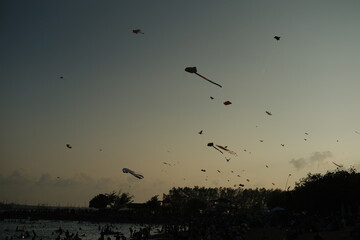Multiple kites flying over the ocean coast at sunset
