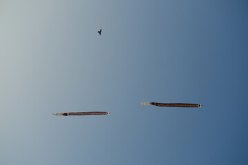 Colorful kites flying in the sunset sky