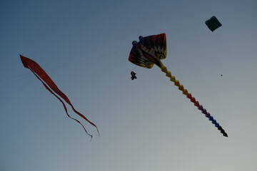 Colorful kites flying at sunset sky – peaceful outdoor scene