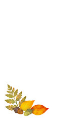 木の葉とドングリの背景〈ハガキ〉 I-1