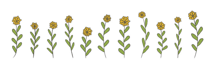Hand drawn yellow wildflower clipart set. Botanical vector elements with delicate flowers and leaves. Cottagecore floral illustrations for cards, stickers, scrapbooking.