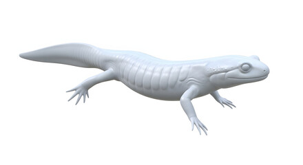 A pale, smooth-textured salamander with visible ribs, four legs, and a long tail poses against a white background.