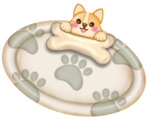 Kawaii playful Corgi and Shiba Inu dogs in various poses, Dog equipment Hand drawn colored illustration set.